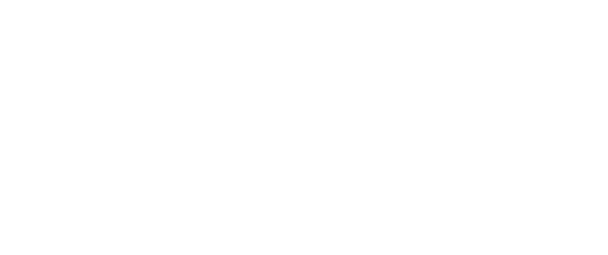 NWT Business School Logo